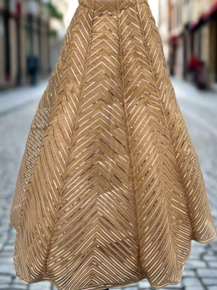Champagne Gold Striped Lehenga Set