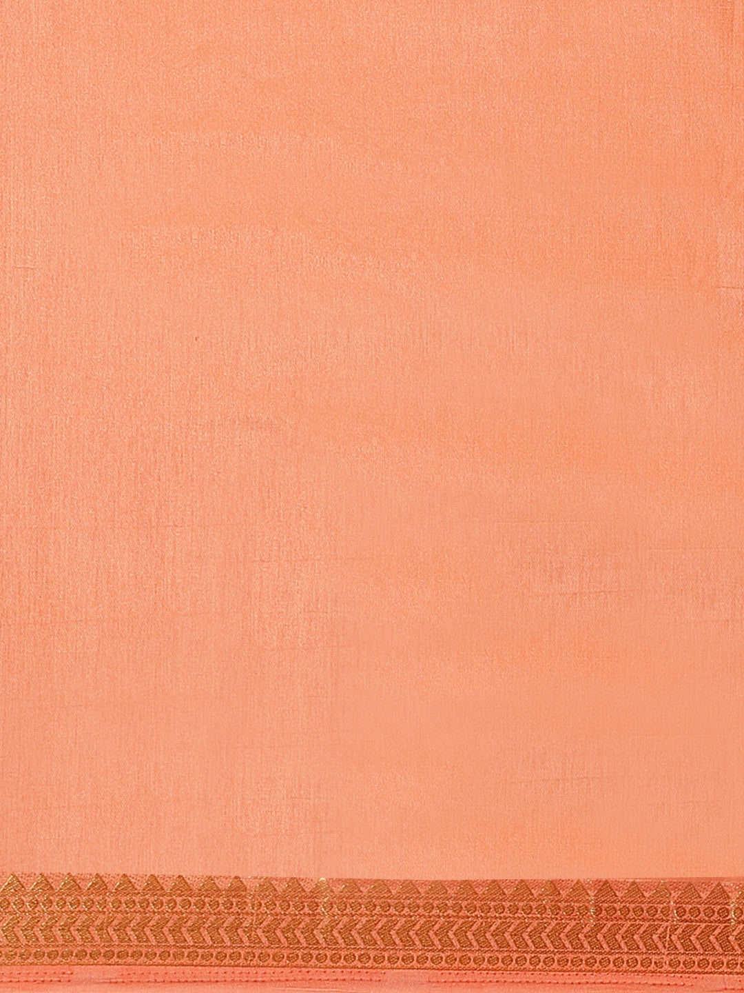 Handloom Chanderi Saree with intricate Resham Embroidered Floral motifs & Zari Border