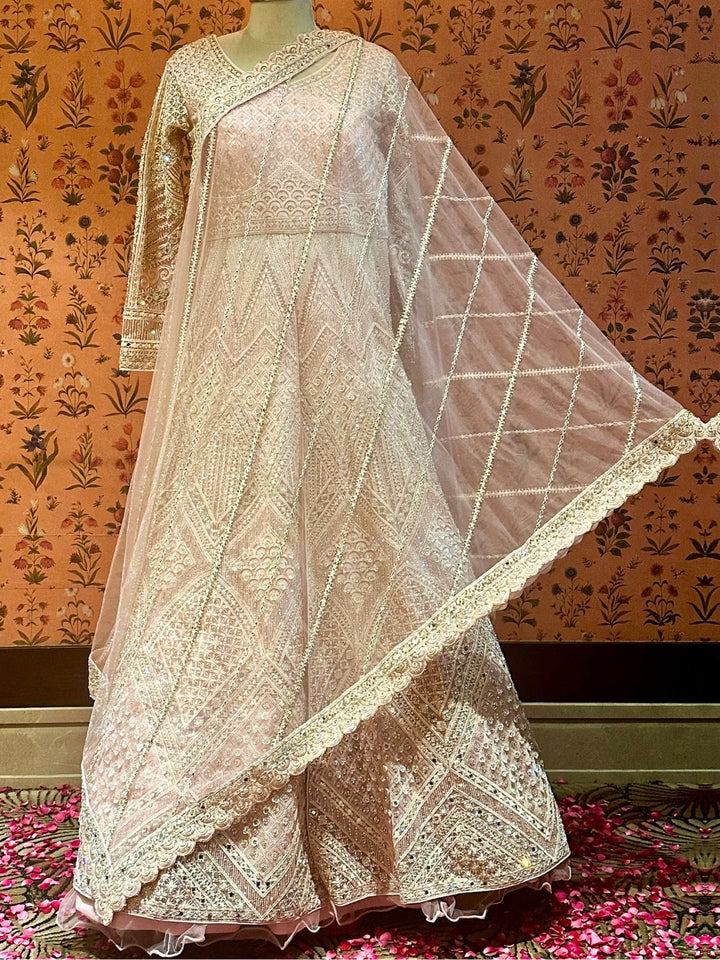 Blush Pink Serenity Embellished Lehenga