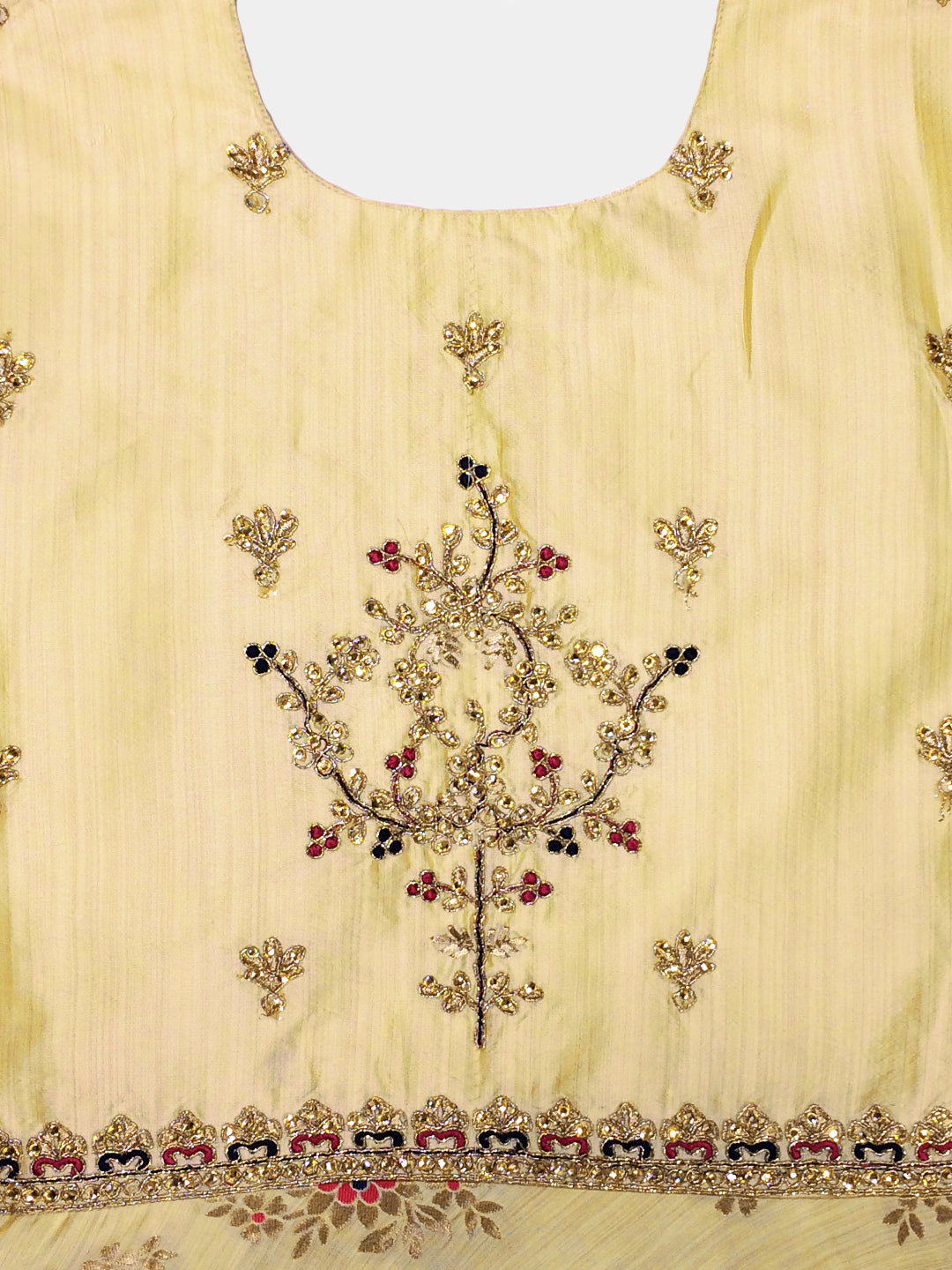 Banarasi Woven Gown with Zari Embroidered Dupatta