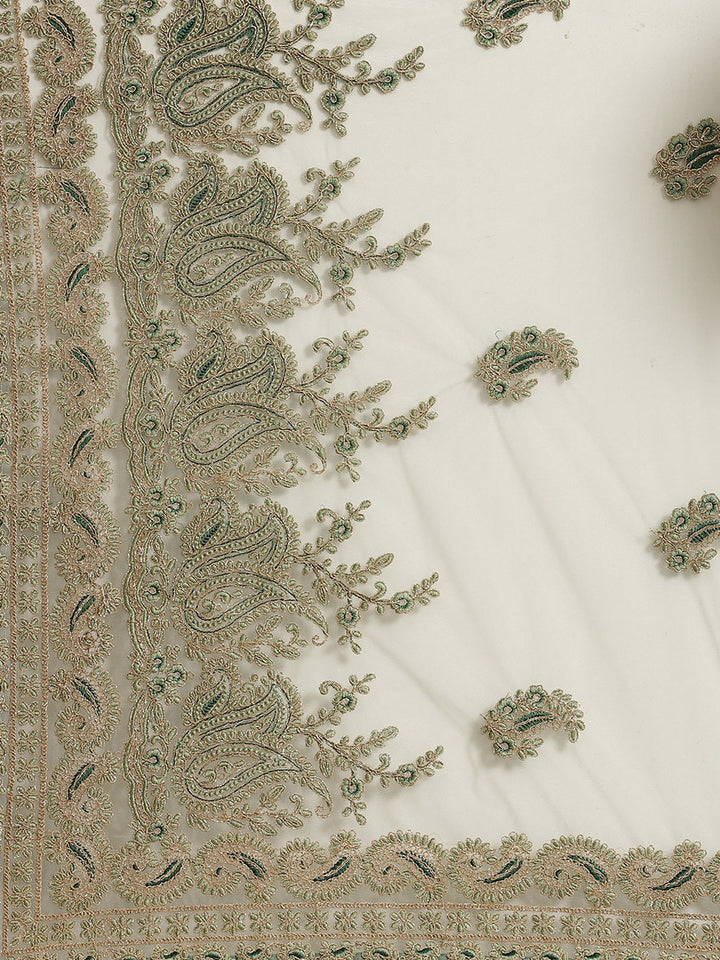 Net Zari Resham Embroidered Saree with dual embroidered border and paisley motifs