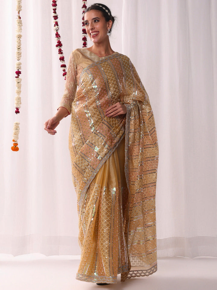 Ombre Resham Embroidered saree with Allover Sequinned Stripes