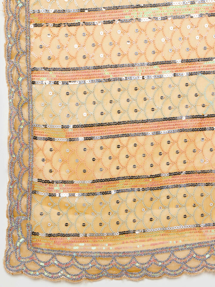 Ombre Resham Embroidered saree with Allover Sequinned Stripes