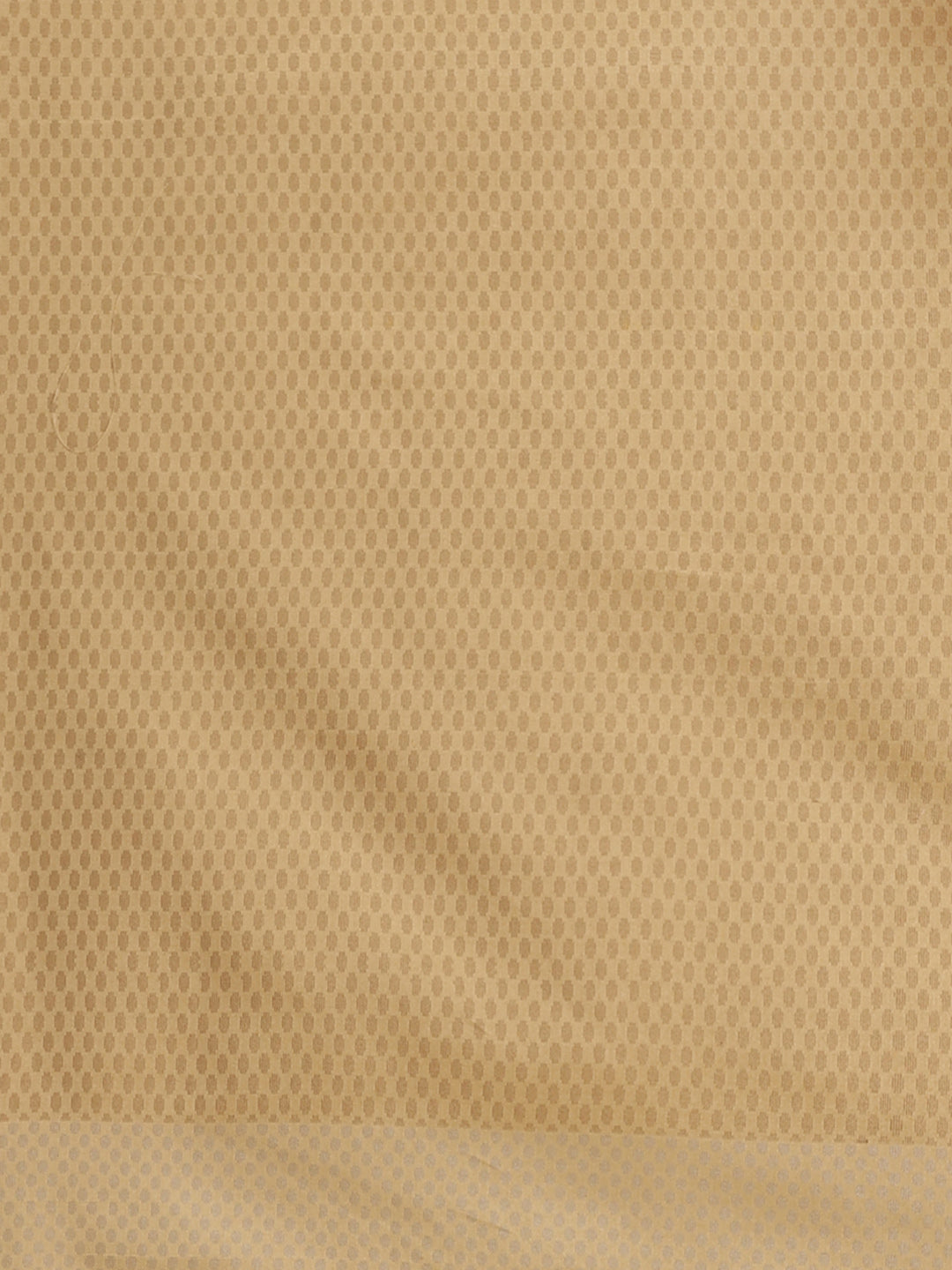 Handloom Chanderi Saree with Tropical woven patterns and a Temple style border