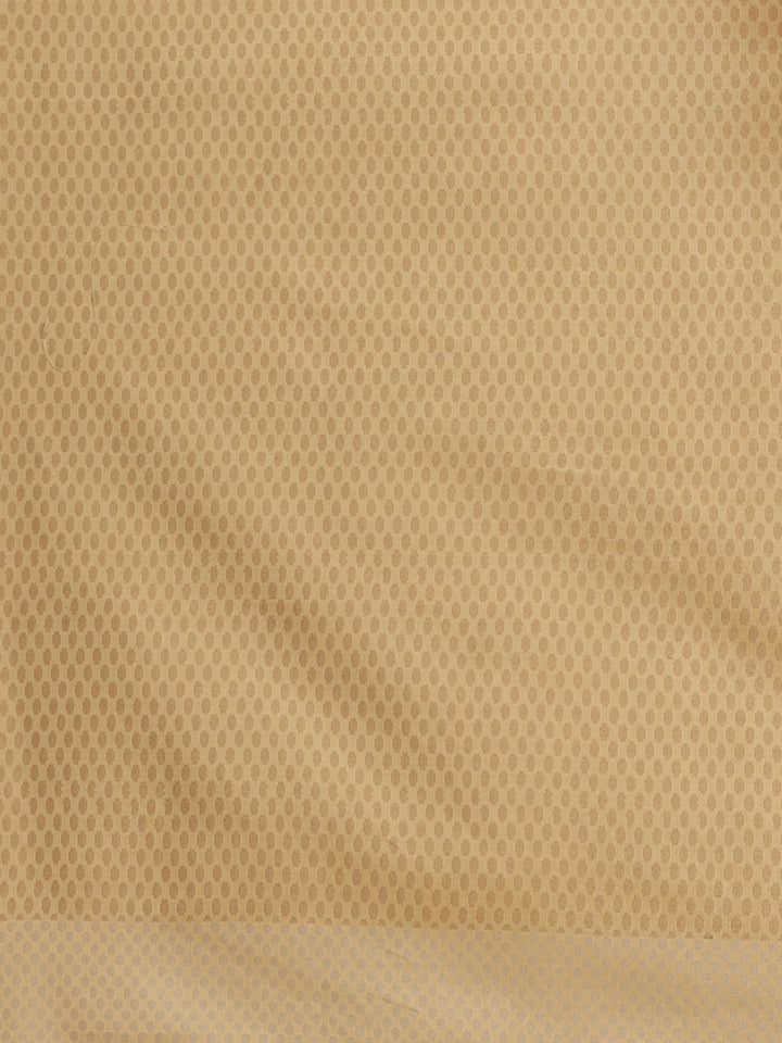 Handloom Chanderi Saree with Tropical woven patterns and a Temple style border