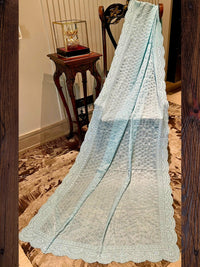 Aqua Blue Embroidered Organza Saree
