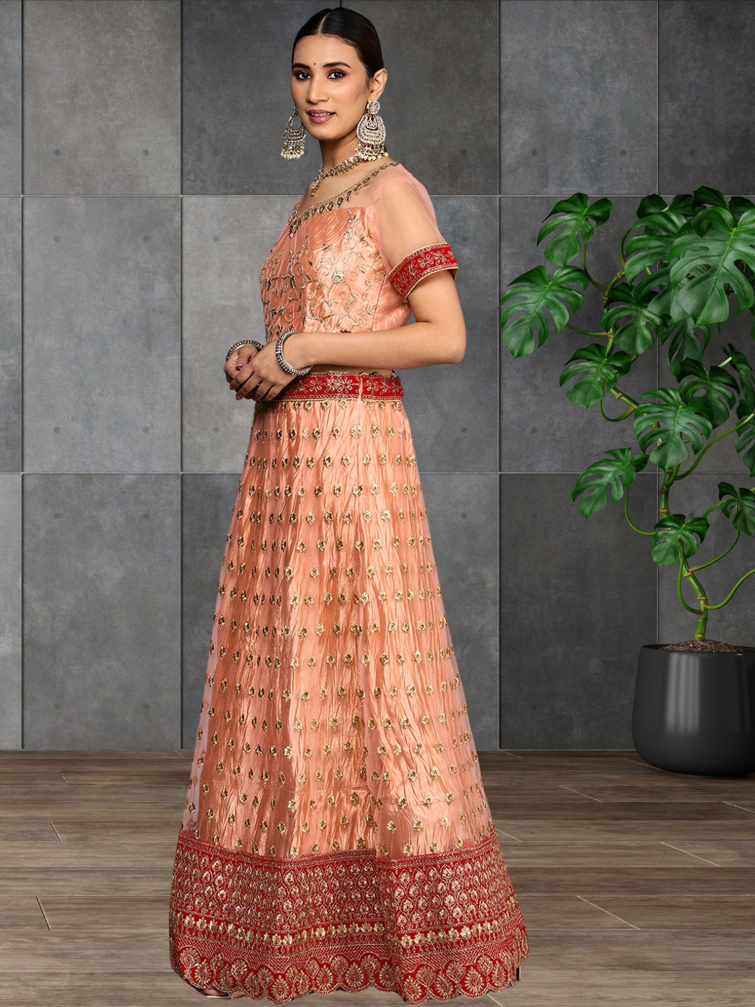 Ethnic Embroidery Net Pleated Lehenga Set & Velvet Cut-Work Border