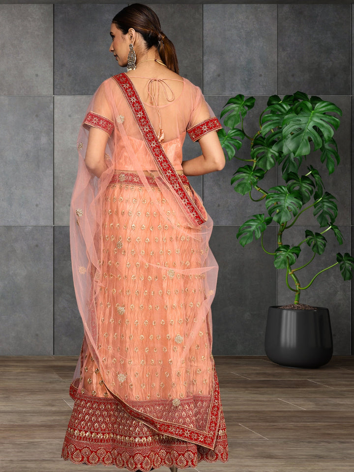Ethnic Embroidery Net Pleated Lehenga Set & Velvet Cut-Work Border