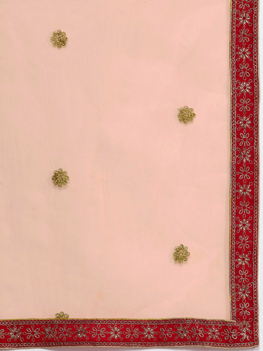 Ethnic Embroidery Net Pleated Lehenga Set & Velvet Cut-Work Border