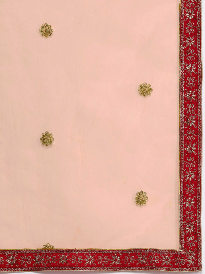 Ethnic Embroidery Net Pleated Lehenga Set & Velvet Cut-Work Border
