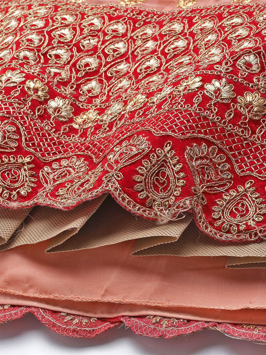 Ethnic Embroidery Net Pleated Lehenga Set & Velvet Cut-Work Border