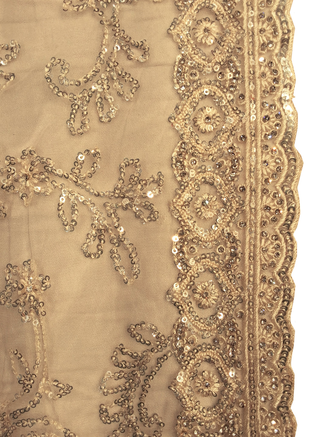 Beige Sequin Embroidered Net Saree with Heavy Stitched Blouse