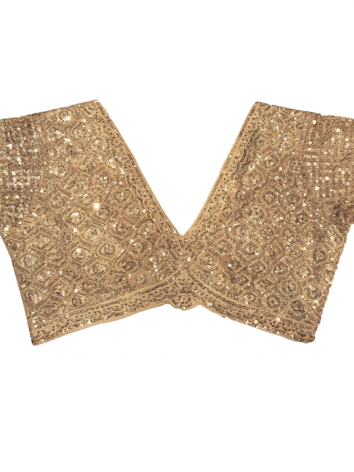 Beige Sequin Embroidered Net Saree with Heavy Stitched Blouse