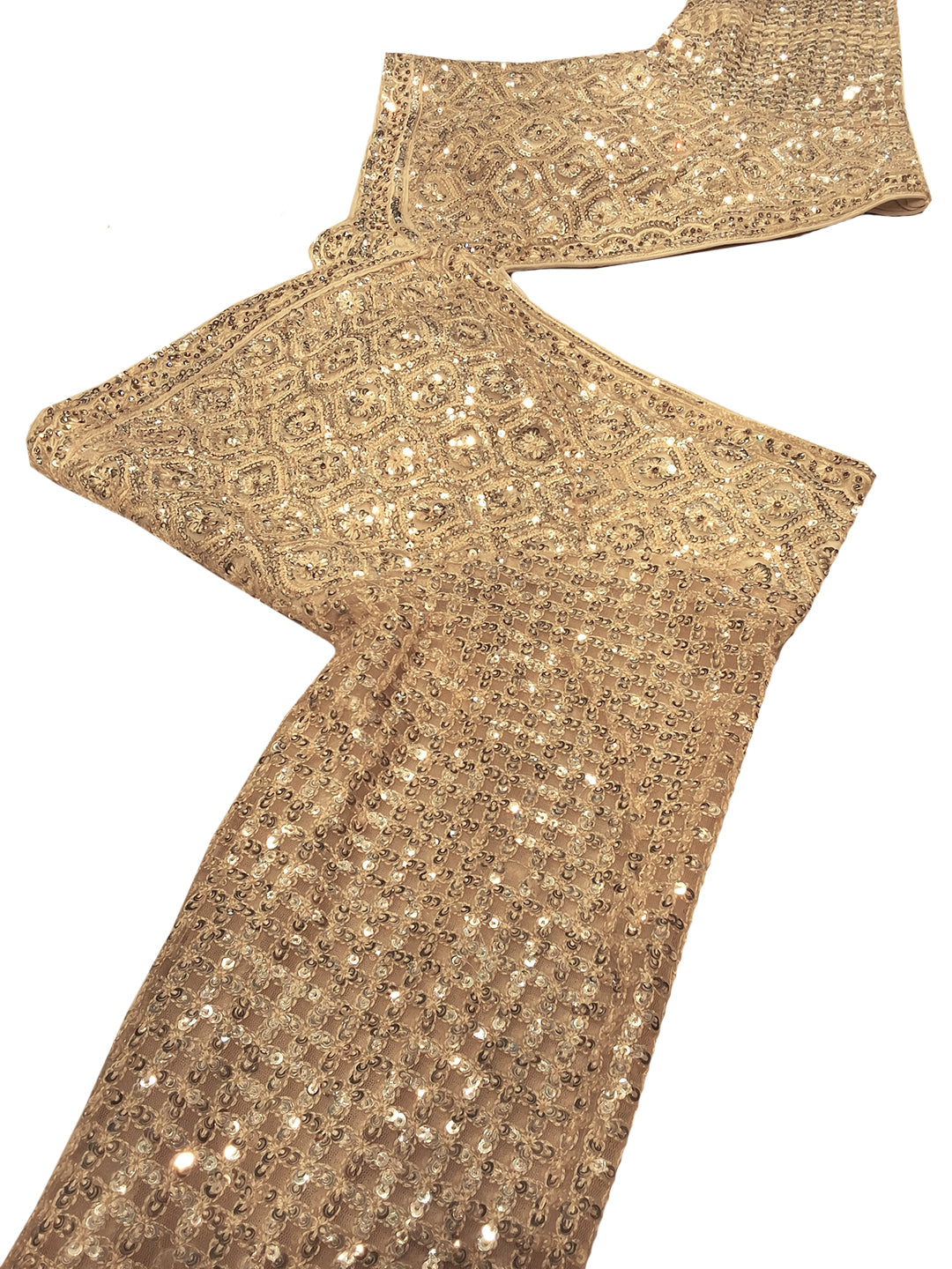 Beige Sequin Embroidered Net Saree with Heavy Stitched Blouse