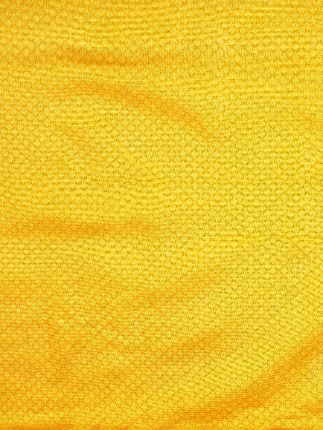 Bhagalpuri Silk Printed Saree with Animal Motifs