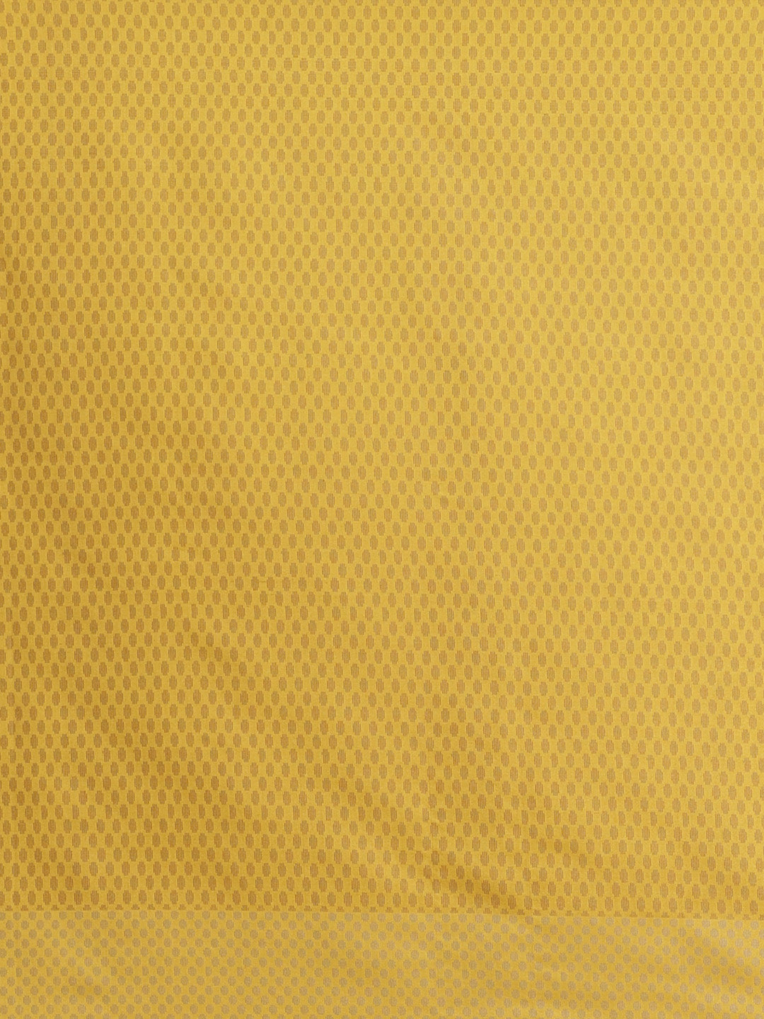 Handloom Chanderi Saree with Tropical woven patterns and a Temple style border