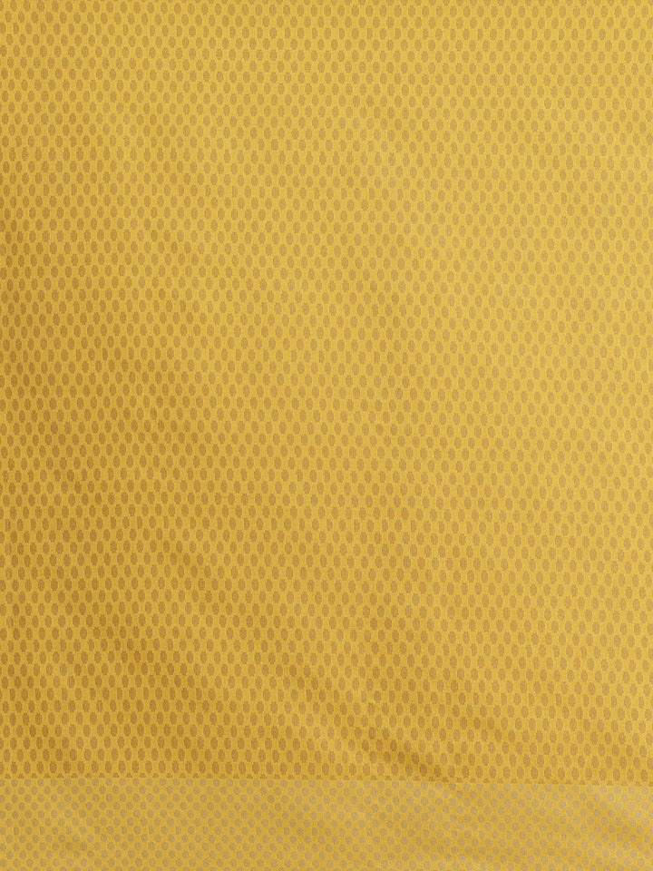 Handloom Chanderi Saree with Tropical woven patterns and a Temple style border
