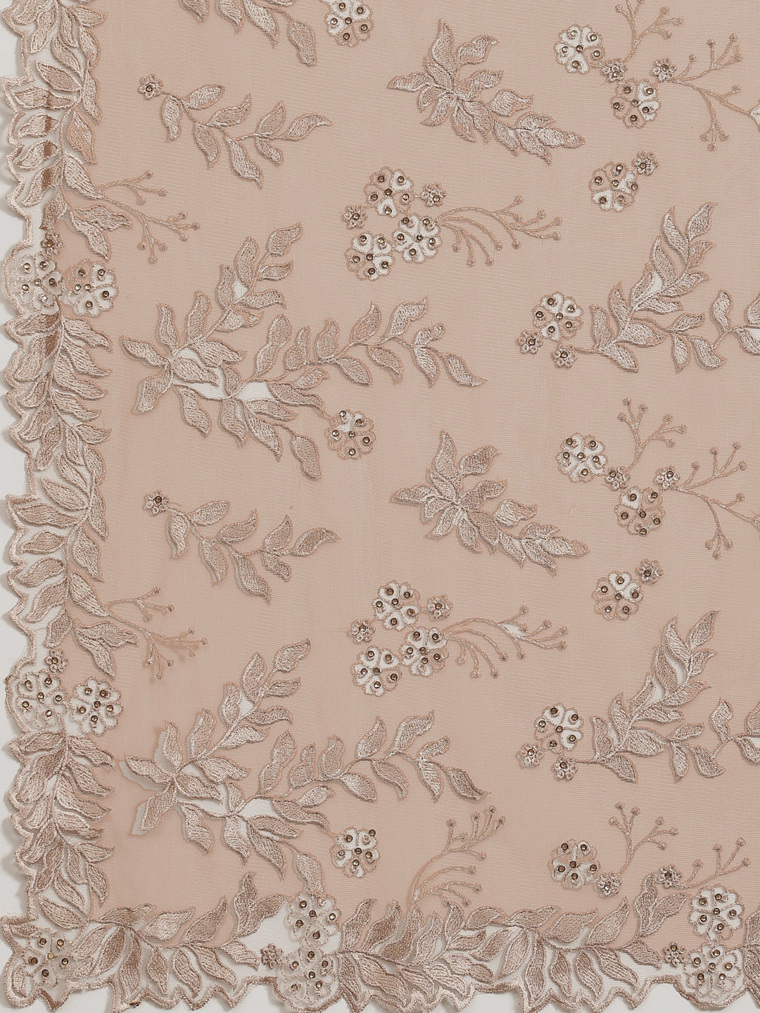 Nude Gold Floral Resham Embroidered Tulle Saree With Cut-Work Border