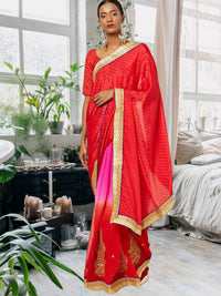 Red Ombre Embroidered Georgette Saree With Gold Zari Panelled Embroidery