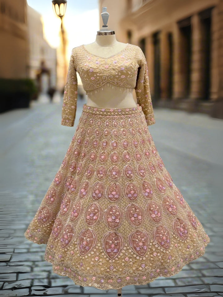Soft Gold Embroidered Net Lehenga
