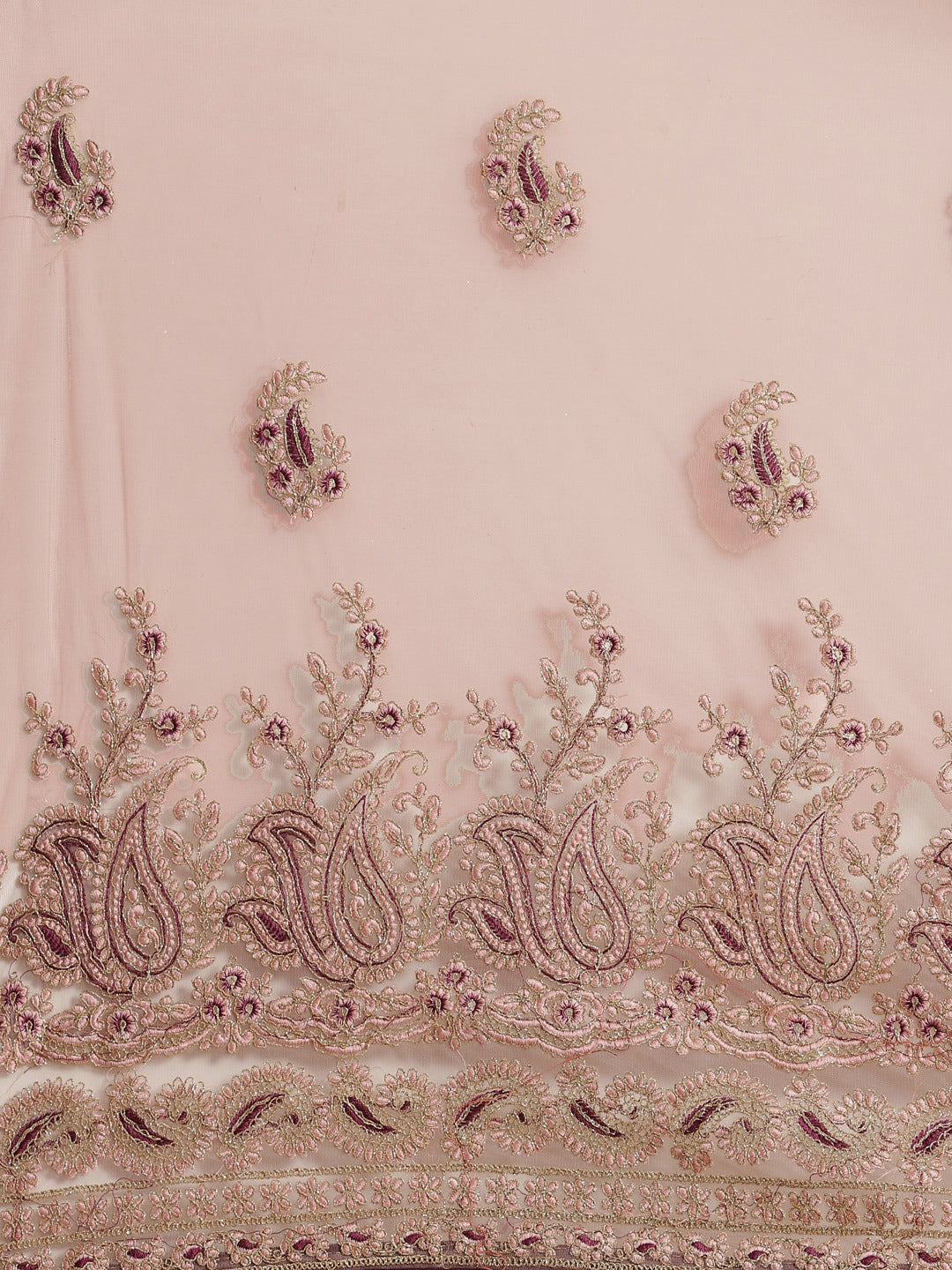 Net Zari Resham Embroidered Saree with dual embroidered border and paisley motifs
