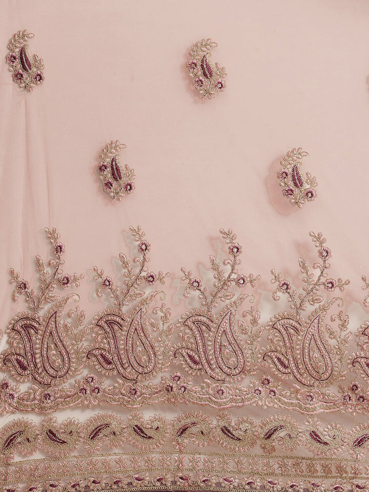 Net Zari Resham Embroidered Saree with dual embroidered border and paisley motifs