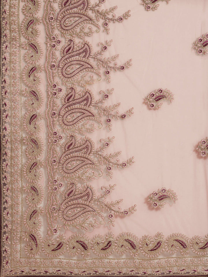 Net Zari Resham Embroidered Saree with dual embroidered border and paisley motifs