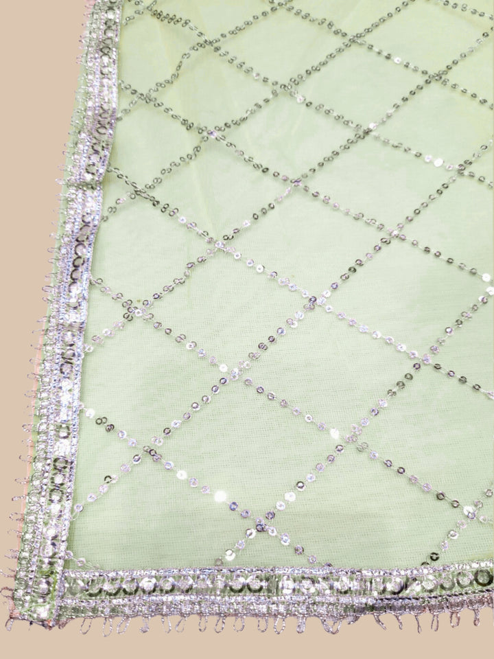 Pastel Heavy Mirror & Aari Floral Embroidered Net Lehenga Set with Sequinned Dupatta