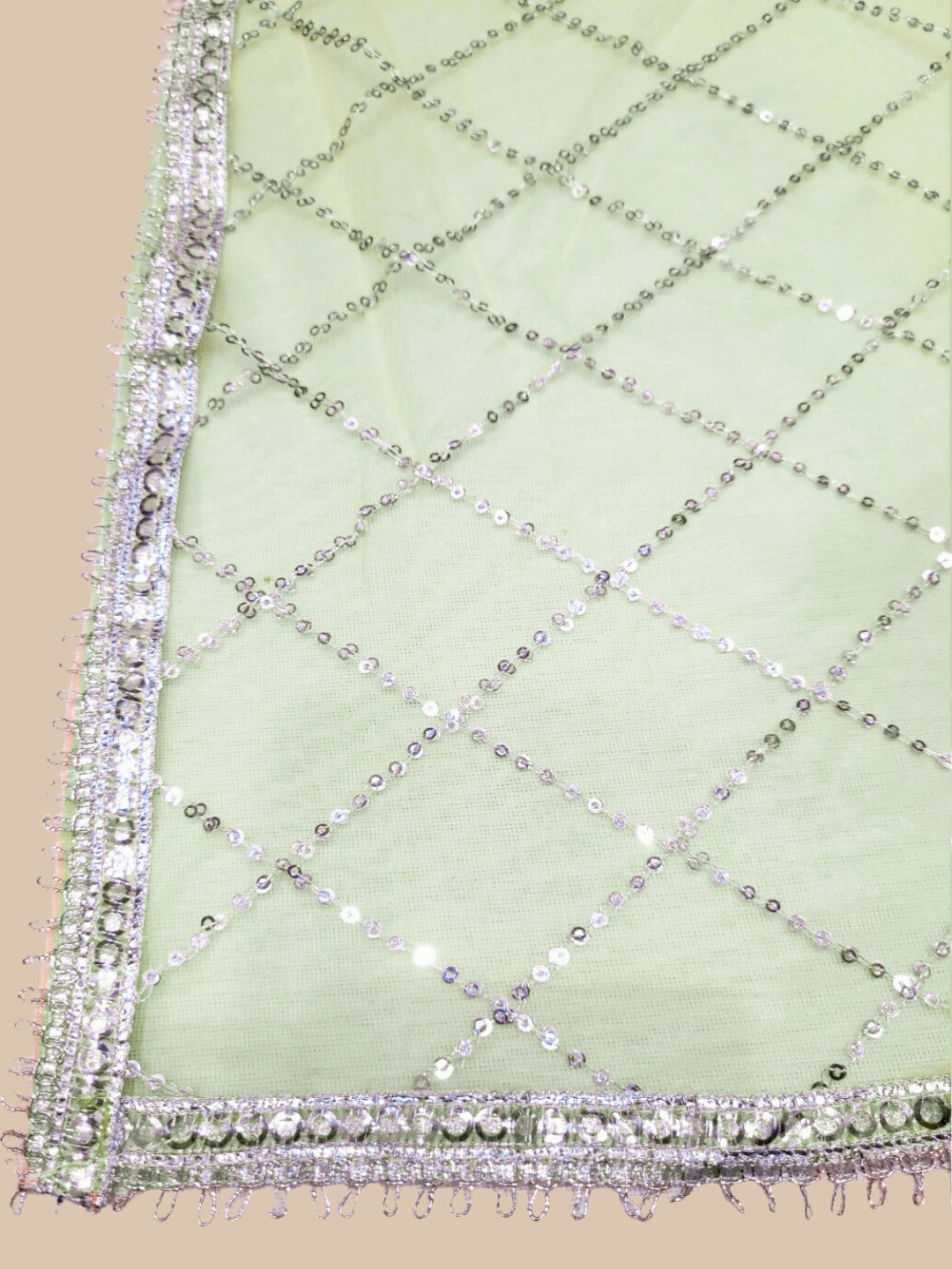 Pastel Heavy Mirror & Aari Floral Embroidered Net Lehenga Set with Sequinned Dupatta