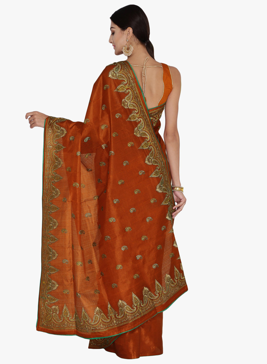 Brown Tussar Silk Saree with Resham Embroidery