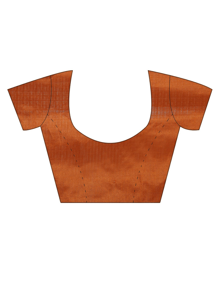 Brown Tussar Silk Saree with Resham Embroidery