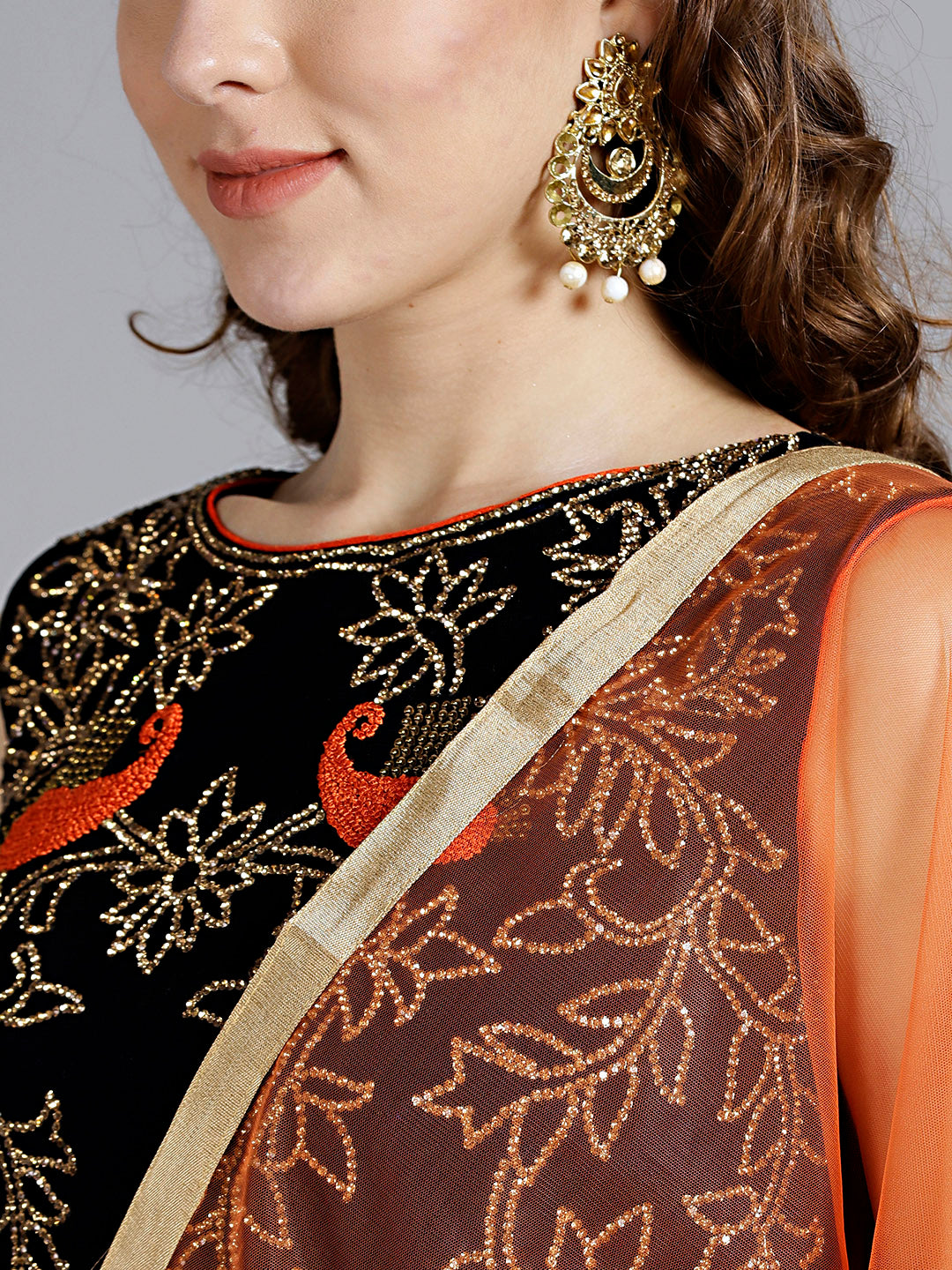 Velvet Embellished Crop top Lehanga set with Peacock Motifs
