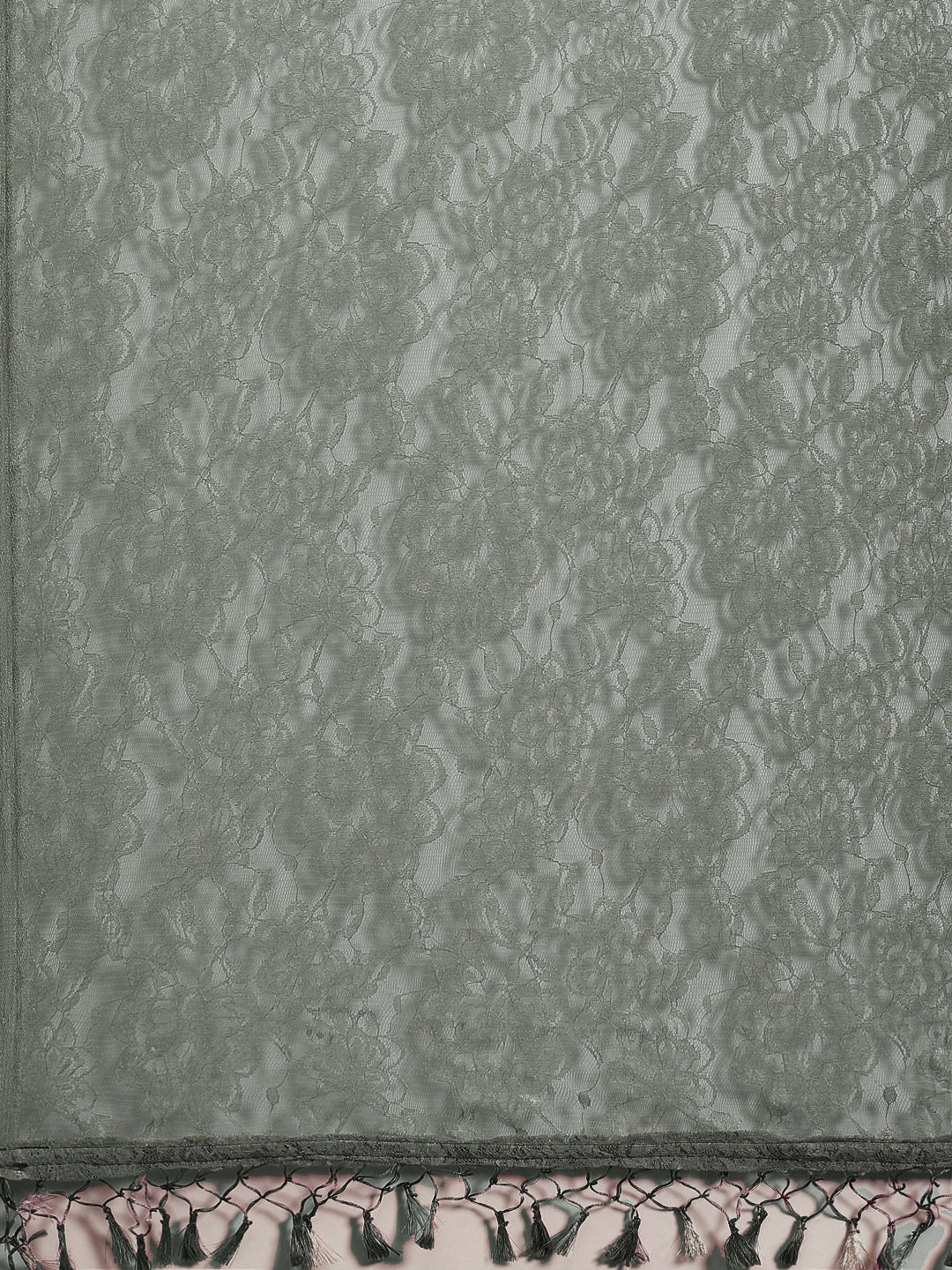 Chantilly Lace Ombre Saree With Floral Shiffli Embroidered Blouse
