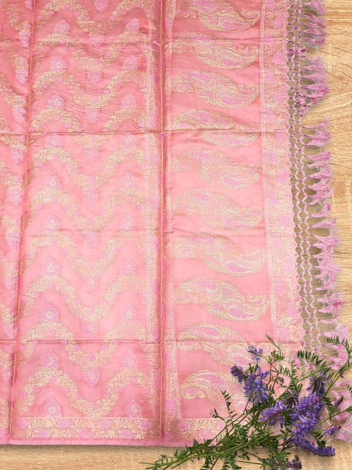 Meenakari Banarasi Handloom Suit Dupatta with Tropical Vines pattern & Brocade Salwar