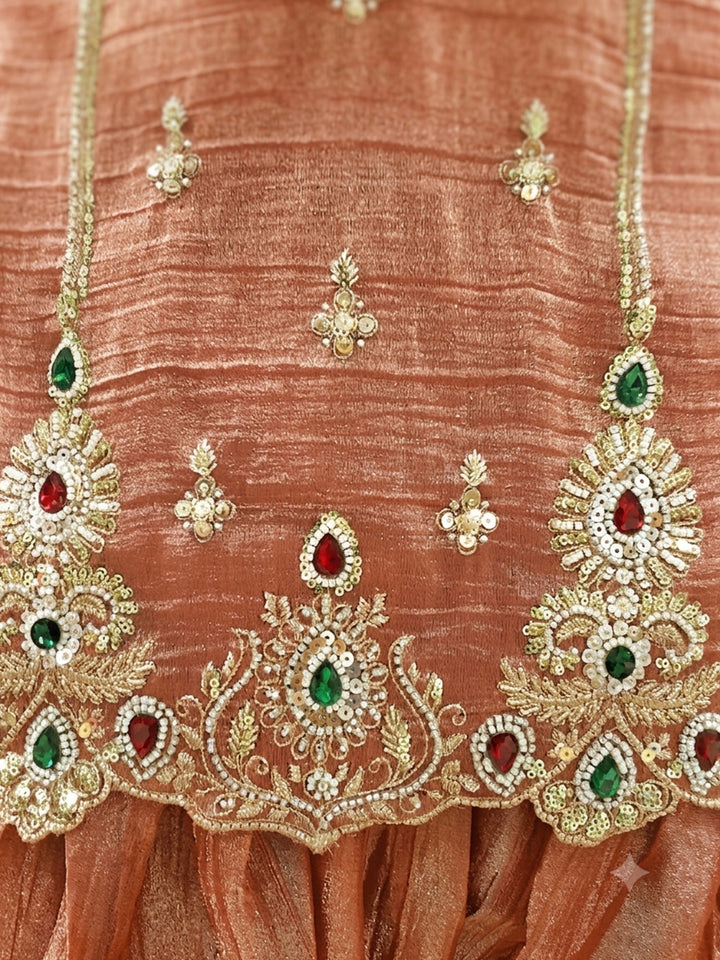 Rust Sequin Embroidered Punjabi Suit with Salwar and Dupatta