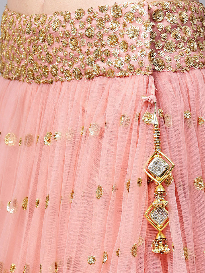 Zircon Embroidered Crop Top Lehenga Set with Ruffled Hemline