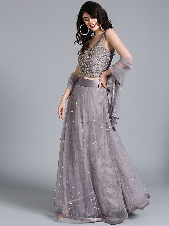 Chhabra 555 Grey Net Crop top Made-To-Measure Lehenga With Pearl, Sequin, Cut-dana embellishments