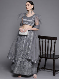 Chhabra 555 Semi-stitched Grey Metallic Floral Zari & Resham Thread Embroidery Net Lehenga Set