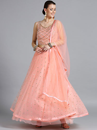 Chhabra 555 peach Net Crop top Made-To-Measure Lehenga With Pearl, Sequin, Cut-dana embellishments